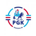 Logo Firmy